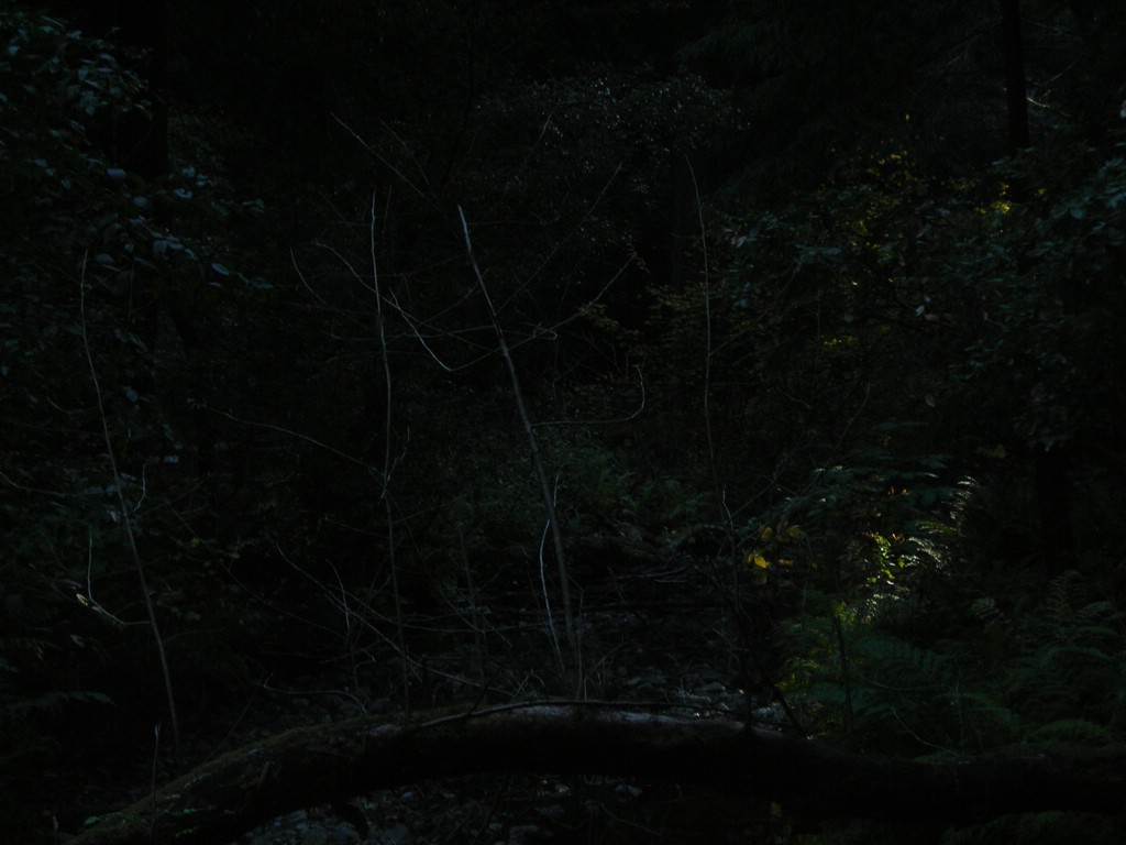 DSCN0469.JPG