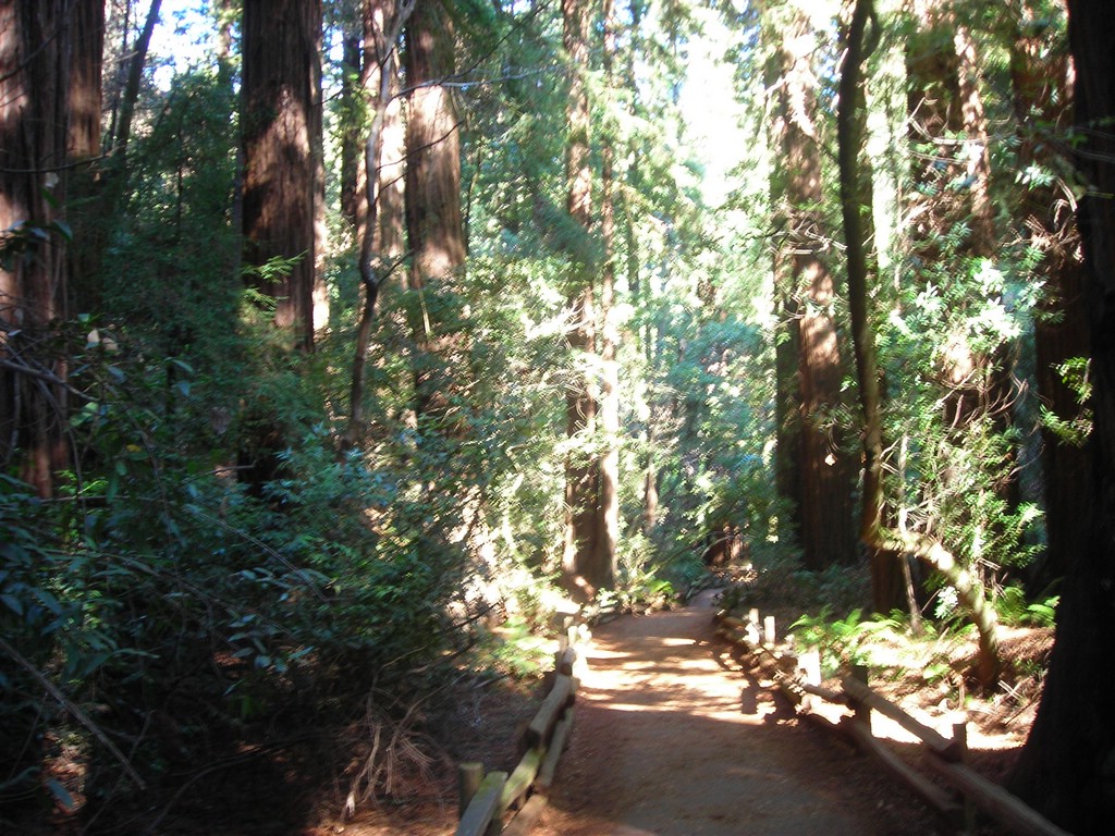 DSCN0477.JPG