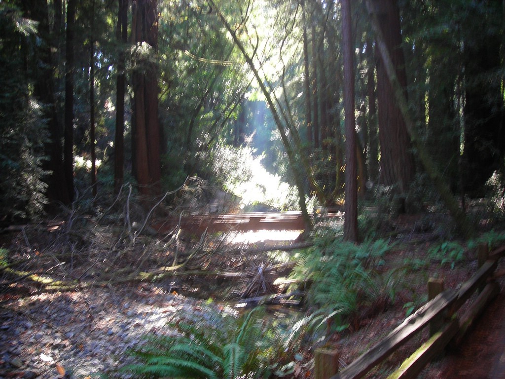 DSCN0481.JPG