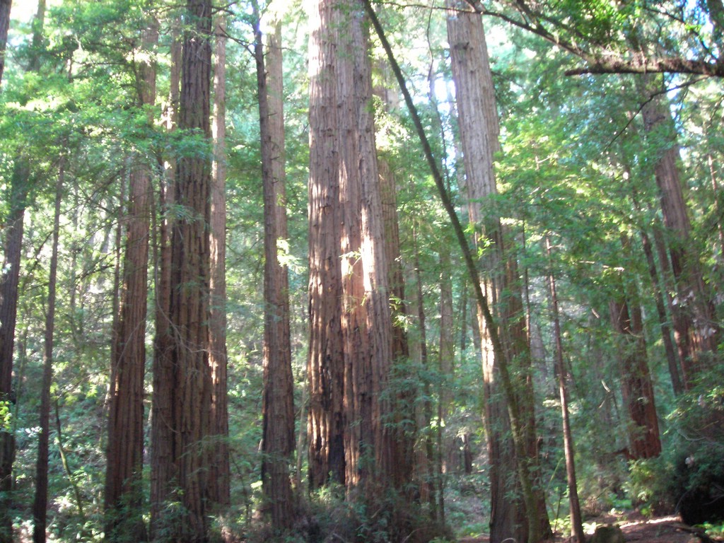 DSCN0482.JPG