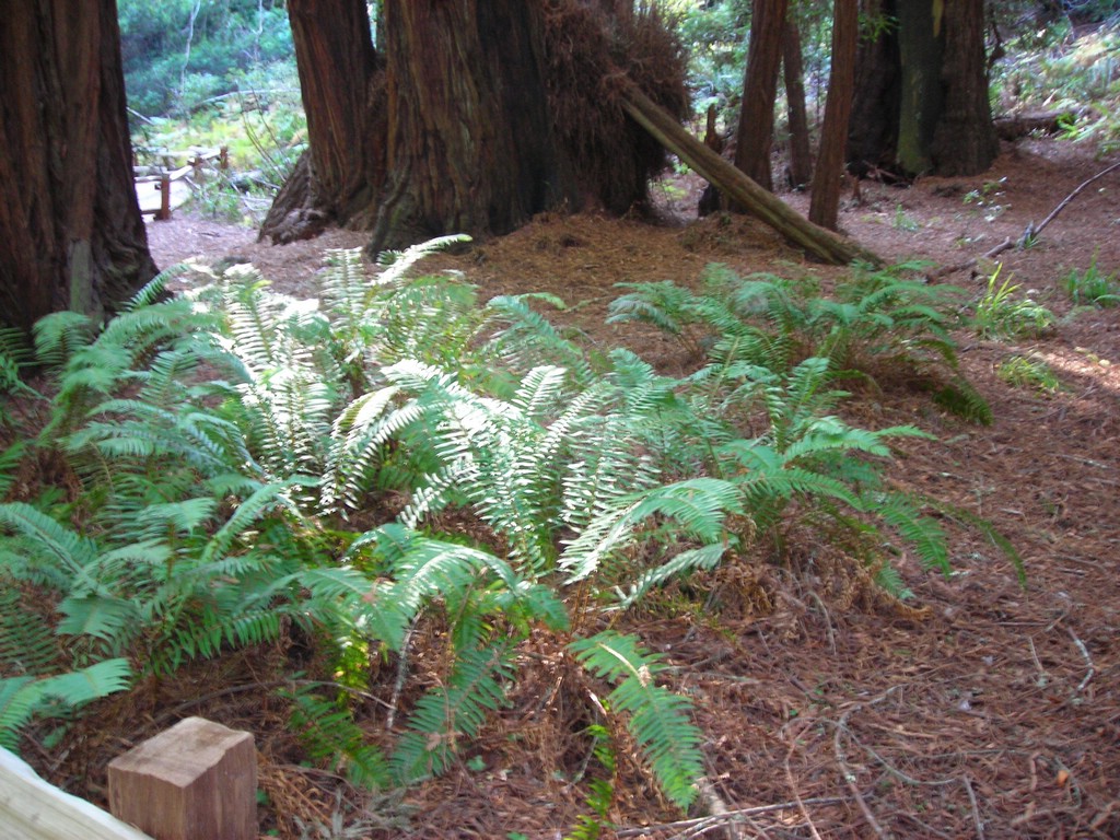DSCN0484.JPG