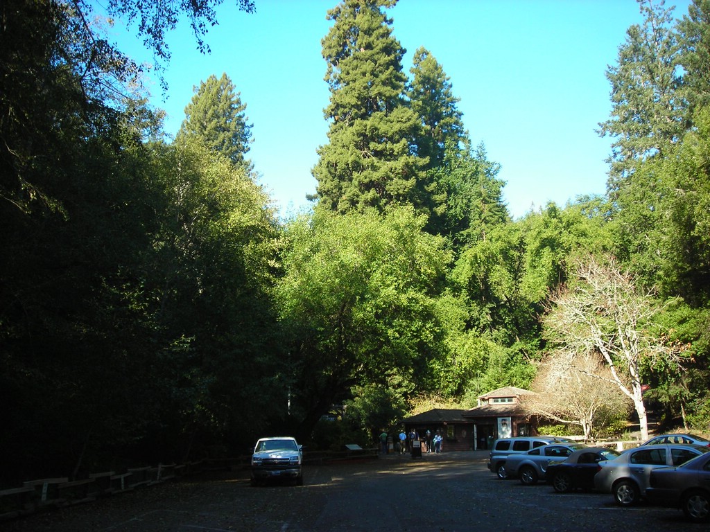 DSCN0485.JPG