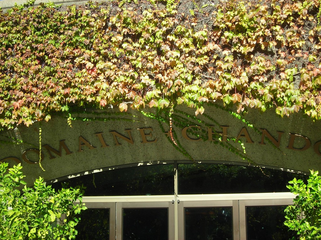 DSCN0487.JPG