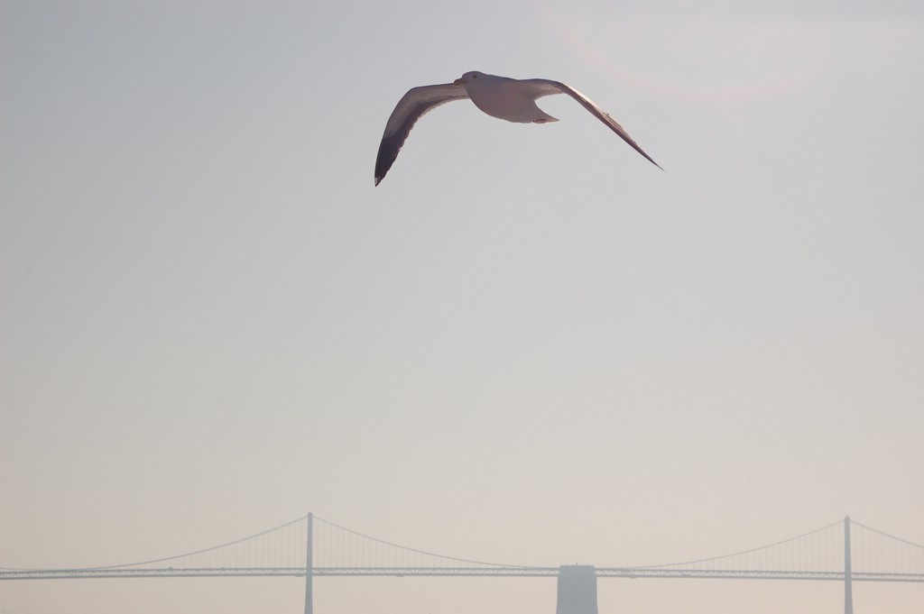 DSC_0010.JPG