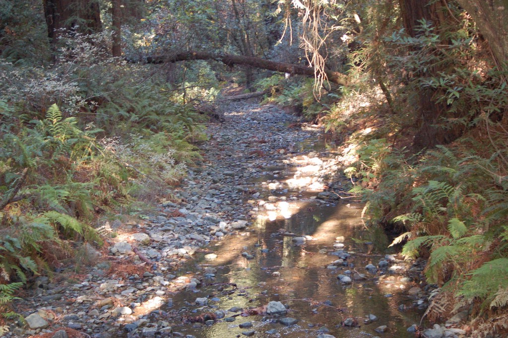 DSC_0101.JPG