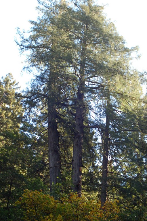 DSC_0104.JPG