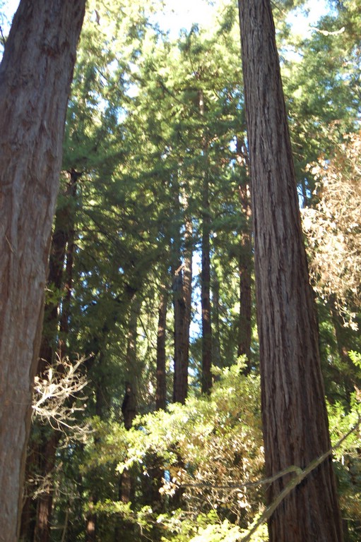DSC_0110.JPG