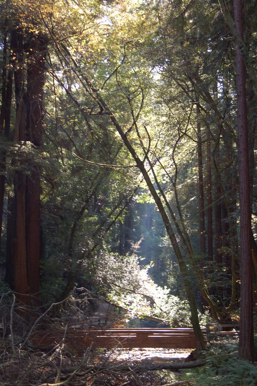 DSC_0112.JPG