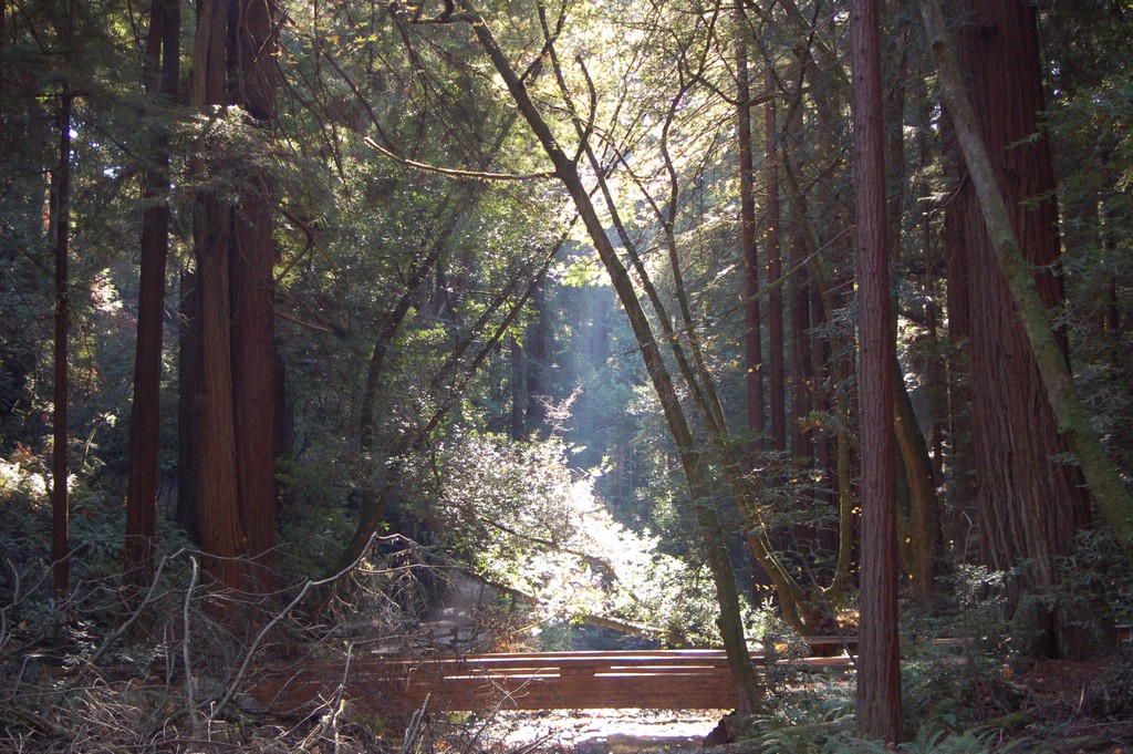 DSC_0113.JPG