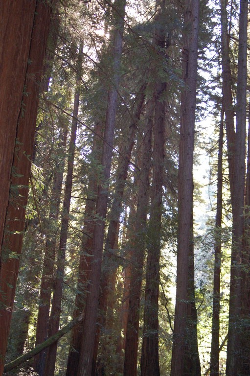 DSC_0114.JPG