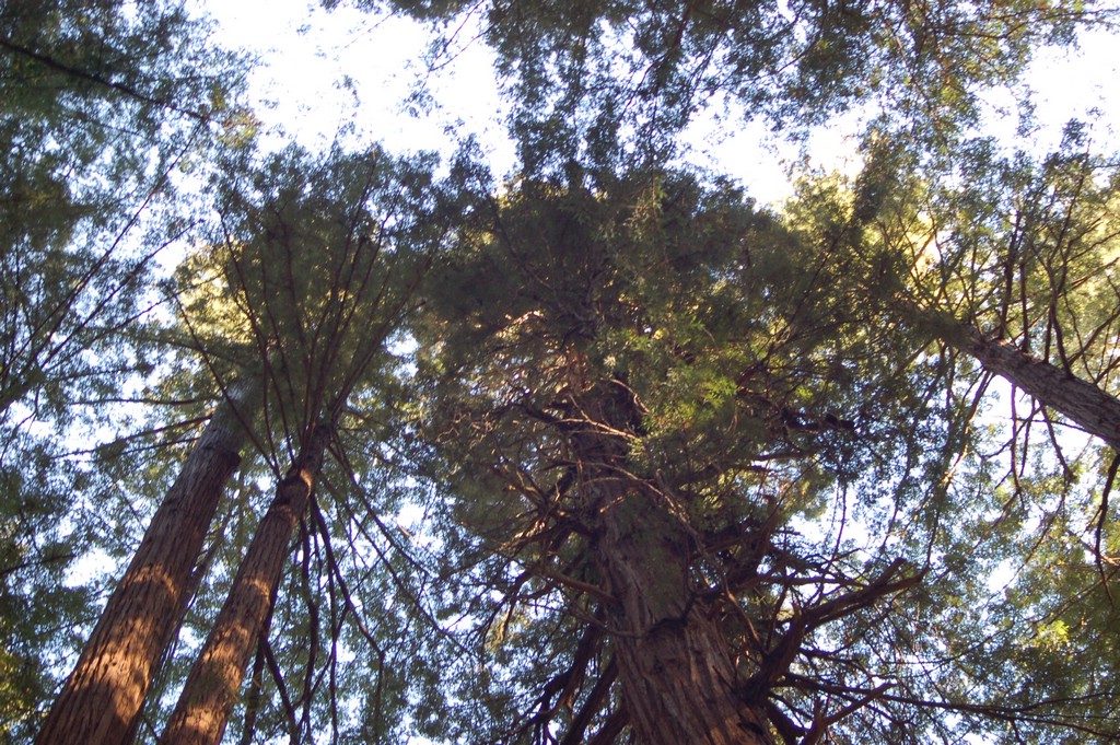 DSC_0121.JPG