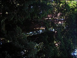 DSCN0455.JPG