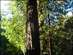 DSCN0461.JPG