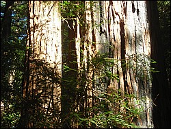 DSCN0463.JPG