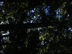 DSCN0465.JPG