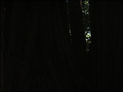 DSCN0466.JPG