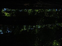 DSCN0467.JPG