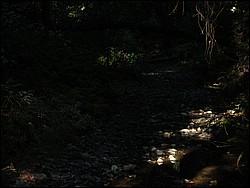DSCN0468.JPG