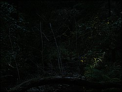 DSCN0469.JPG