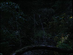 DSCN0470.JPG