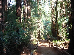 DSCN0477.JPG