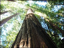 DSCN0478.JPG