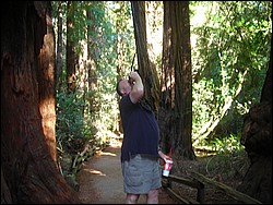 DSCN0480.JPG
