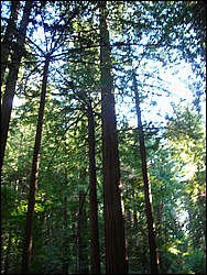 DSCN0483.JPG