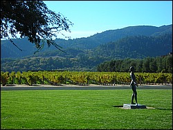 DSCN0491.JPG