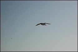 DSC_0011.JPG