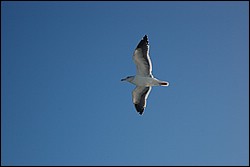 DSC_0012.JPG