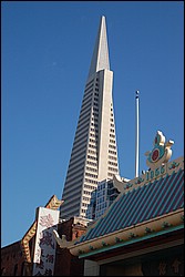 DSC_0046.JPG