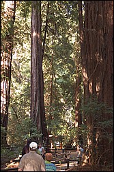DSC_0092.JPG