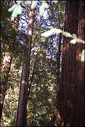 DSC_0093.JPG