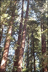 DSC_0097.JPG