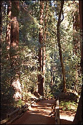 DSC_0106.JPG