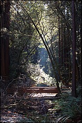 DSC_0111.JPG
