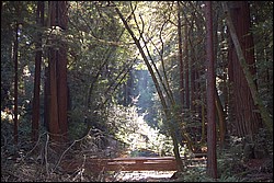 DSC_0113.JPG