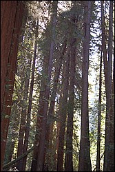 DSC_0114.JPG