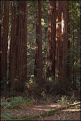 DSC_0115.JPG