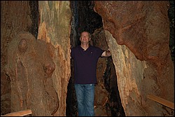 DSC_0117.JPG