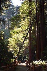 DSC_0122.JPG