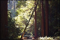 DSC_0123.JPG