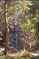DSC_0126.JPG