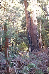 DSC_0128.JPG