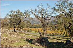 DSC_0130.JPG