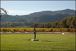 DSC_0136.JPG