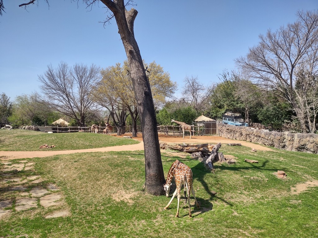 IMG_20240306_125725573_HDR.jpg