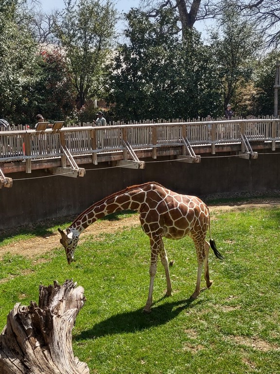 IMG_20240306_125909799_HDR.jpg