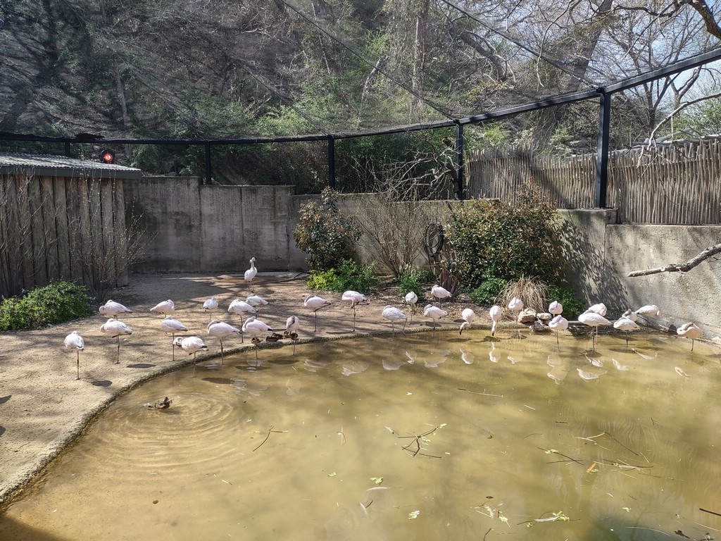 IMG_20240306_134609461_HDR.jpg